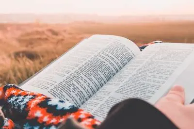 Person reading Bible in open field
