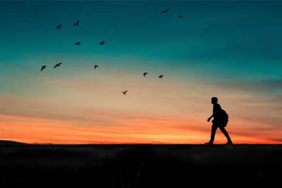 man walking with sunset and birds flying in background